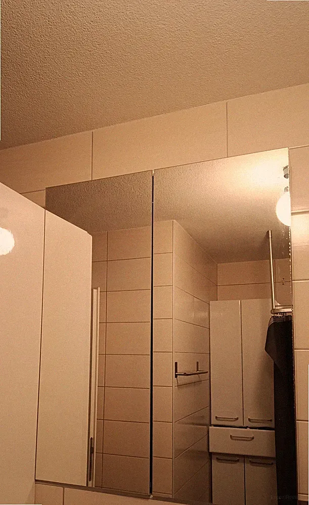 IKEA GODMORGON Spiegelschrank fürs Bad – 2 Türen (beidseitig verspiegelt)