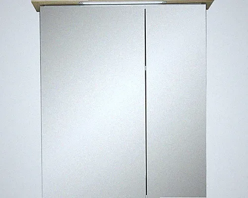 LED Spiegelschrank Salvie 60 x 72 x 20cm Salbei
