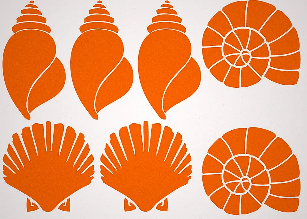 MUSCHEL AUFKLEBER Sticker Deko Bad Meer Maritim Fliese Seashell Ocean Wandtattoo