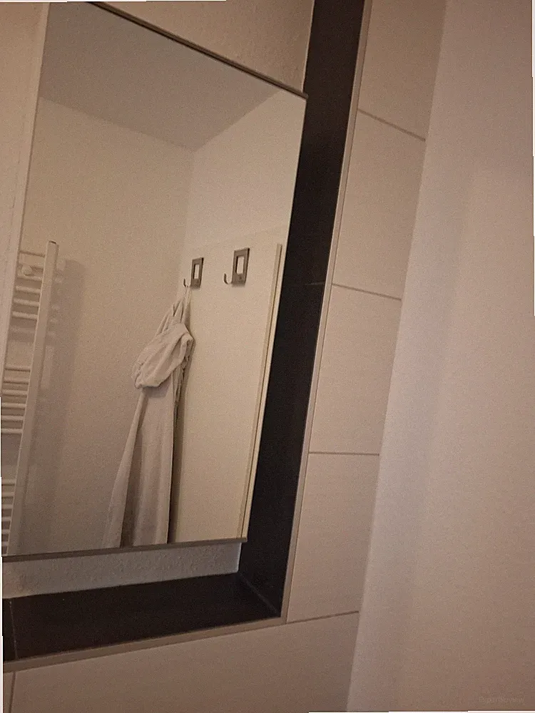 Spiegelschrank Badschrank (75 Hoch 40 Breit 15 Tief)