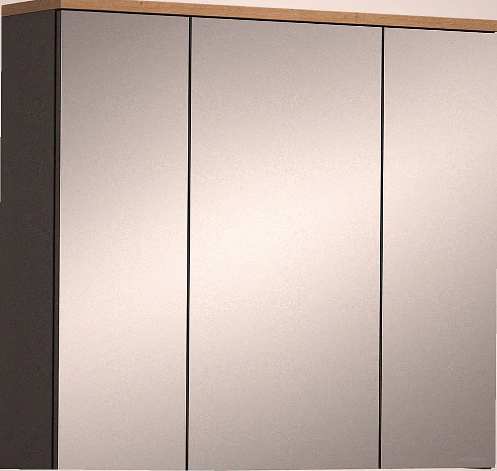 xonox.home Spiegelschrank Badspiegelschrank Spiegel Canu Artisan 184x73x21 cm