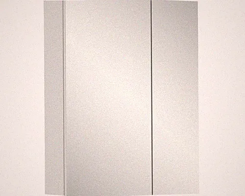 Xonox.home Spiegelschrank Vira 60 x 18 x 77 cm weiß 2-türig